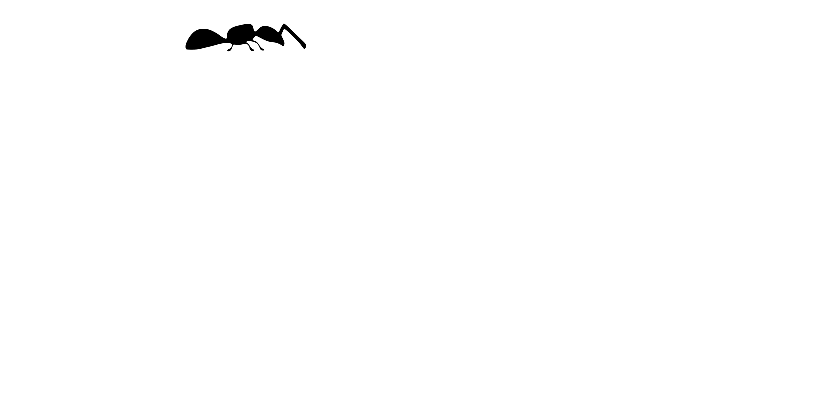 Odoo Experts